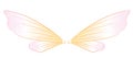 Fairy wings Royalty Free Stock Photo