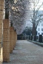 Fairy winter Castle. Wolfsburg, Germany