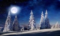 Winter night forest and Northern Lights Royalty Free Stock Photo