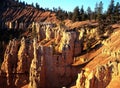 Fairyland Point, Bryce Canyon National Park. Royalty Free Stock Photo