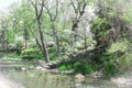 Fairyland of steps up into forest from stepping stones across stream in the spring with trees flowering Royalty Free Stock Photo