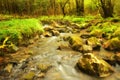 Fairylike river in the forest with long shutterspeed to show the flow