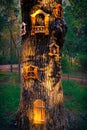 Fairytale fantasy house in tree trunk in forest Royalty Free Stock Photo