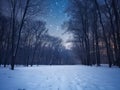 Fairytale forest covered with snow in the moonlight. Winter landscape. New Year concept