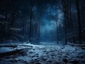 Fairytale forest covered with snow in the moonlight. Winter landscape. New Year concept