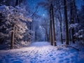 Fairytale forest covered with snow in the moonlight. Winter landscape. New Year concept