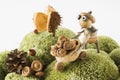 fairytale forest creature collecting acorns autumn season design Royalty Free Stock Photo