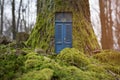 Fairytale house inside tree Royalty Free Stock Photo