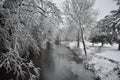 Fairytale landscape - River Leam - Pump Room Gardens, Leamington Spa, UK - 10 december 2017