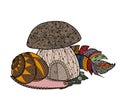 Fairytale mushroom, feather birds and snail.