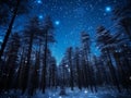 Fairytale night forest covered with snow in the moonlight. Winter landscape. New Year concept