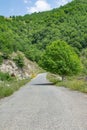 A fairytale road leads to nature Royalty Free Stock Photo