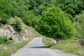 A fairytale road leads to nature Royalty Free Stock Photo