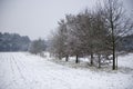 Fairytale snow landscape