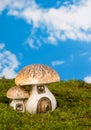 Fairytale toadstool Royalty Free Stock Photo