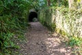 Fairytale tunnels on the South West coastpath