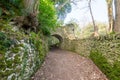 Fairytale tunnels on the South West coastpath