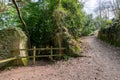 Fairytale tunnels on the South West coastpath