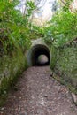 Fairytale tunnels on the South West coastpath