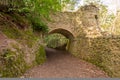 Fairytale tunnels on the South West coastpath