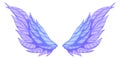 Fairytale wings. Fly creature symbol. Fantasy myth icon