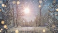 Fairytale winter park with sparkles 3D rendering illustration