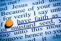 Faith as mustard seed