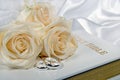 wedding rings and roses on Bible Royalty Free Stock Photo