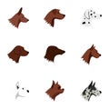 Faithful friend dog icons set, flat style Royalty Free Stock Photo