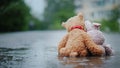 Faithful friends - a bunny and a bear cub sit side by side on the road, wet under the pouring rain. Look forward Royalty Free Stock Photo