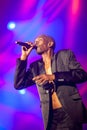 Faithless on main stage at Exit Festival 2015 Royalty Free Stock Photo