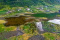 Faja dos Cubres marshes at Sao Jorge island in the Azores, Portu