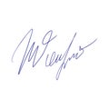 Fake autograph samples. Hand-drawn signatures