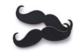 Fake black mustache. Royalty Free Stock Photo