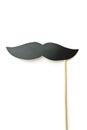 Fake black mustache. Royalty Free Stock Photo