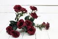 Fake bouquet of red roses isolated on a white background. Royalty Free Stock Photo