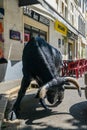 Fake bull on the streets of Arles, famous for its bullring in the arena held twice a year during Feria d`Arles