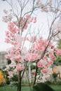 fake cherry blossom decorations planted on a tree branch Royalty Free Stock Photo