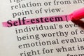 Dictionary definition of the word self-esteem