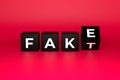 Fake Fact text conceptual image. Blocks on a red background. 3d rendering Royalty Free Stock Photo