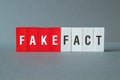 Fake Fact - word concept on building blocks, text