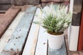 Fake flower on wood plank