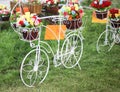 Fake flowers In basket bicycle Royalty Free Stock Photo