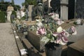 Fake flowers on gravestone