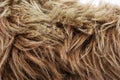 Brown fake fur close-up wit hairs Royalty Free Stock Photo