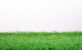 Fake green grass panorama