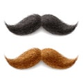 Fake mustaches Royalty Free Stock Photo