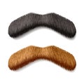 Fake mustaches Royalty Free Stock Photo