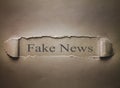 Fake News words on torn paper. Royalty Free Stock Photo