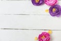 Fake pink and purple flowers isolated on a white background. Royalty Free Stock Photo